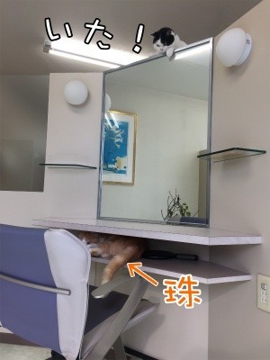 珠若268