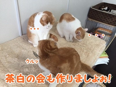 みんな (157)