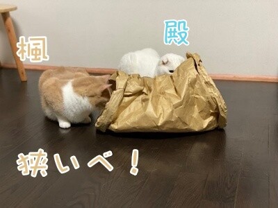 みんな2683