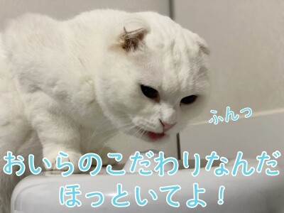 殿1028