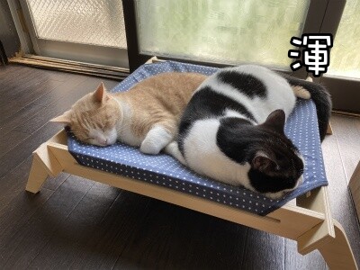 みんな1608