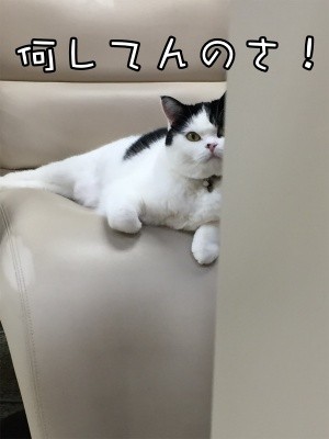 珠若470