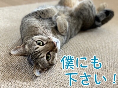 漣36