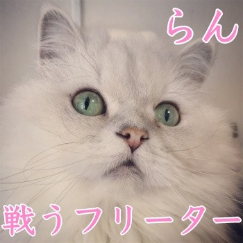 みんな1310