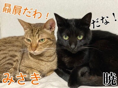 みんな2187