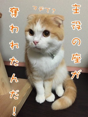 珠22