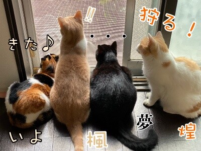 みんな2197