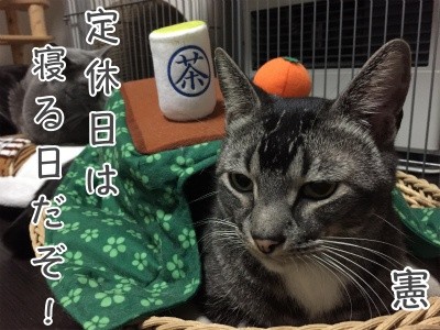 憲24