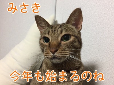 みさき178