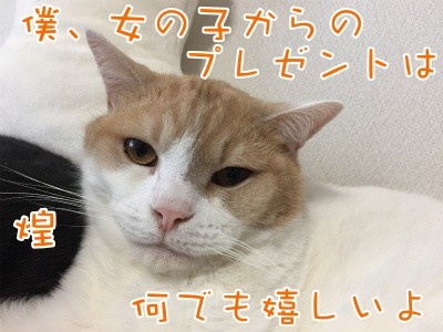 煌125