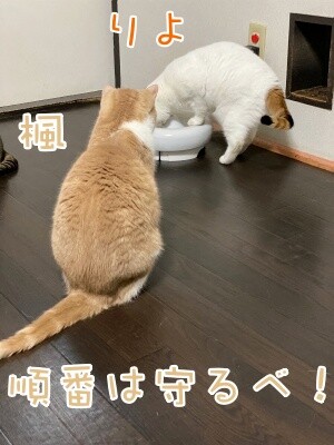 みんな2691