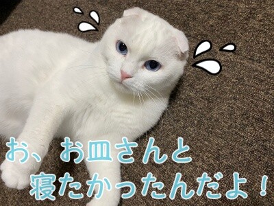殿793
