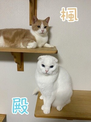 みんな25