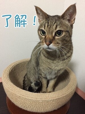 翔380