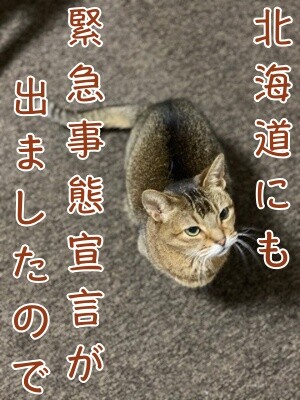 俊398