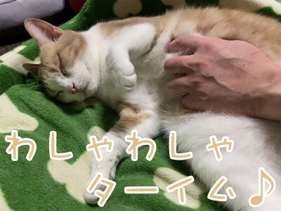 楓629