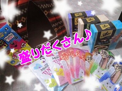 その他 (6)