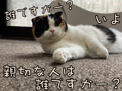 いよ291