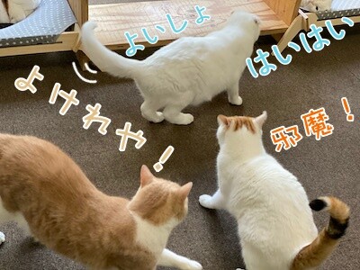 みんな294
