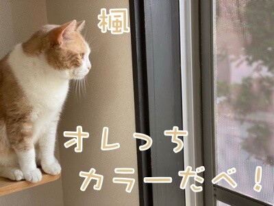 楓961