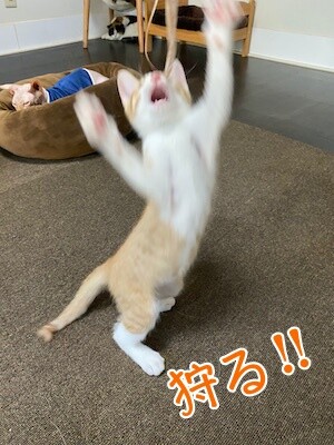 琢12