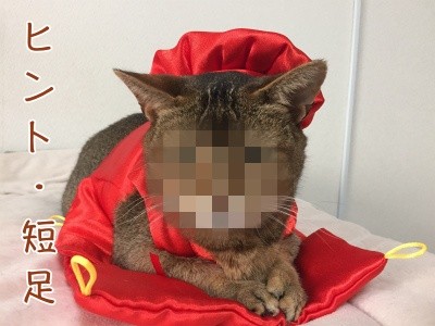 俊242