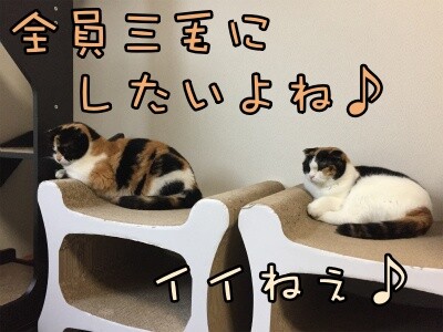 みんな1435