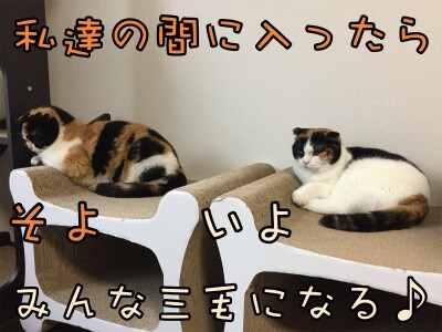 みんな1434