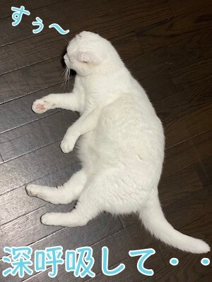 殿110
