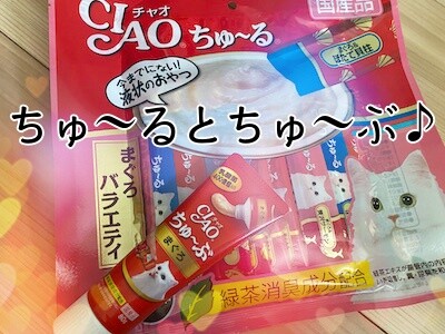 俊41