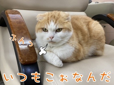 珠若498