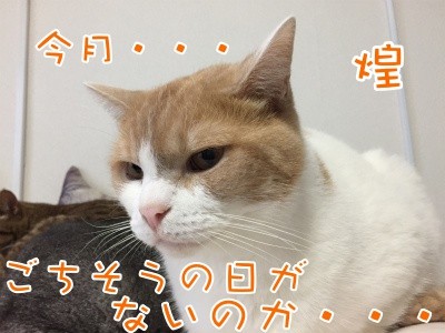 煌95