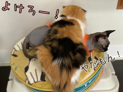 みんな931