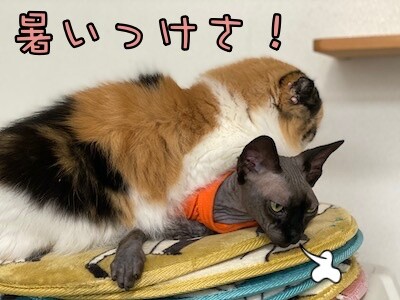 みんな930