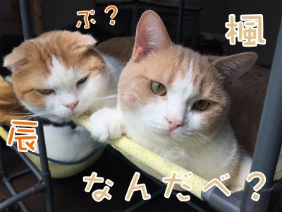 みんな925