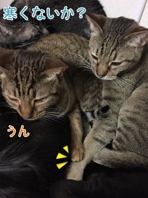 みんな453
