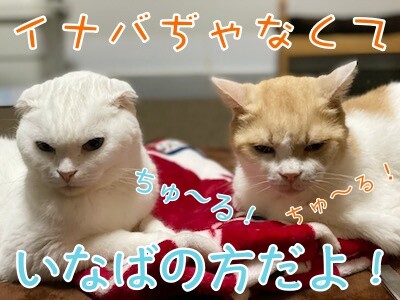 みんな1175