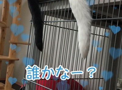 みんな928