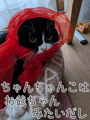 福97