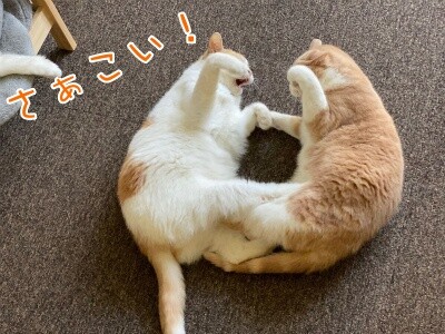 みんな2016