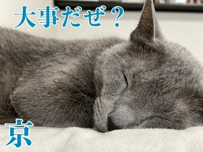 京408