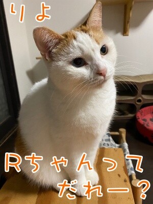 りよ312