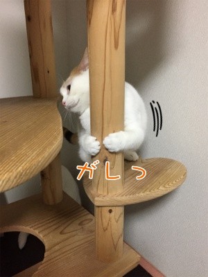 りよ22