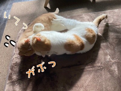 みんな1118