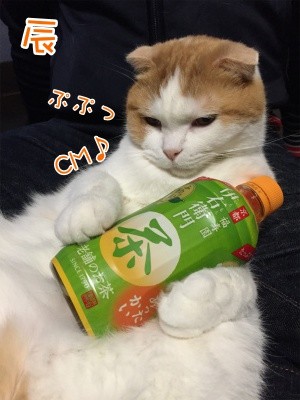 辰32