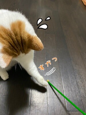 りよ54