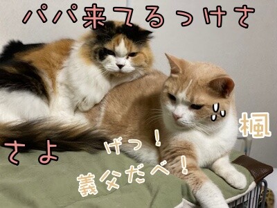 みんな2689