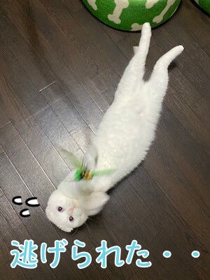殿4
