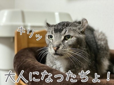 銀89