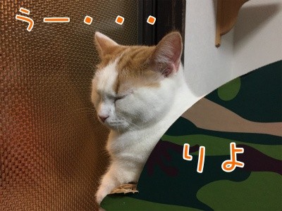 りよ14